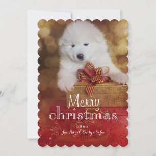 Cartão De Festividades Samoyed Puppy Dog With Christmas Gifts