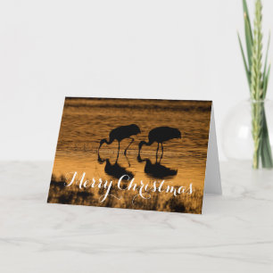 Cartão De Festividades Sandhill Cranes, Feliz Natal