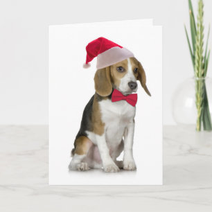 Cartão De Festividades Santa Beagle Christmas Card