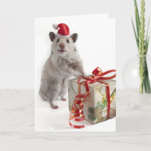 Cartão De Festividades Santa Claus Hamster With Gift