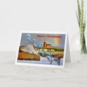 Cartão De Festividades Santa & Dolphins Santa Cruz Christmas Card