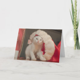Cartão De Festividades Santa Kitty