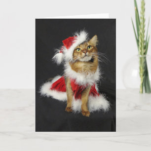 Cartão De Festividades Santa's Little Helper Somali Cat Christmas