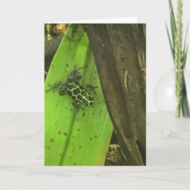 Cartão De Festividades Sapo Verde Veneno (Frente)