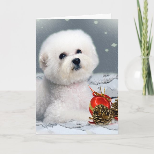 Cartão De Festividades Saudações Bichon Season (Frente)