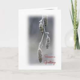 Cartão De Festividades Saudações da temporada