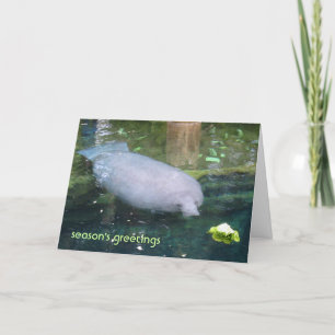 Cartão De Festividades saudações da temporada - alface