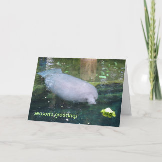 Cartão De Festividades saudações da temporada - alface