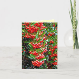 Cartão De Festividades Saudações da temporada Rowan Berry/Tree - Y