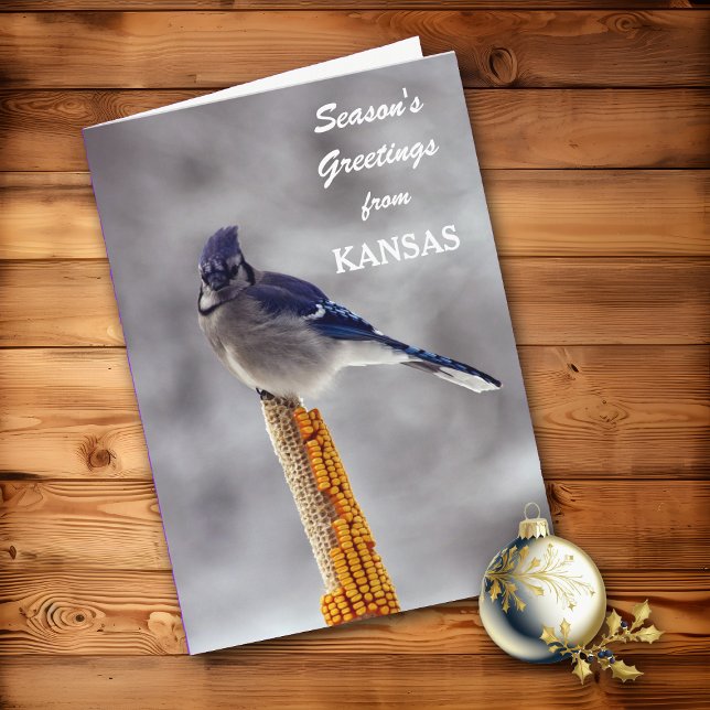 Cartão De Festividades Saudações de Blue Jay Season do Kansas (Criador carregado)