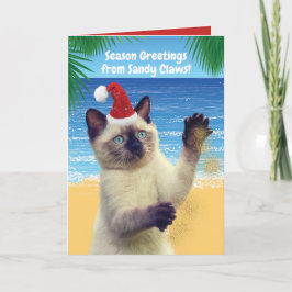 Cartão De Festividades Saudações Engraçadas do Gato "Sandy Claws"