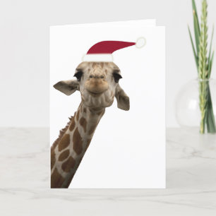 Cartão De Festividades Saudações Giraffe