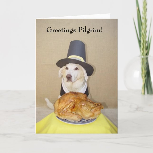 Cartão De Festividades Saudações, Pilgrim! (Frente)