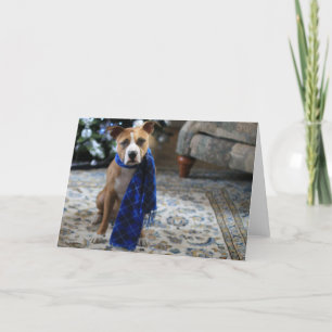 Cartão De Festividades Saúde Feriada do Cachorro de Salvamento do Touro d
