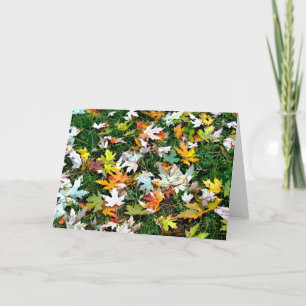 Cartão De Festividades Scattered Leaves