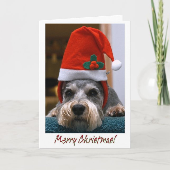 Cartão De Festividades Schnauzer do Feliz Natal (Frente)