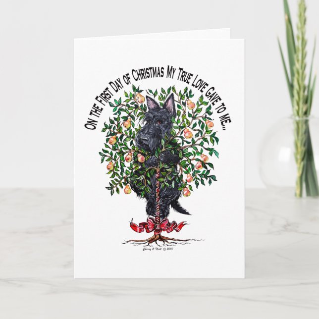 Cartão De Festividades Scottie em uma árvore de pera (Frente)