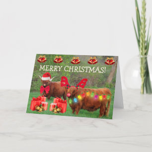 Cartão De Festividades Scottish Highland Steer Funny Christmas