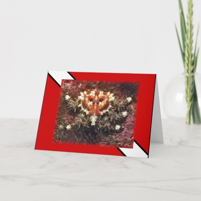 Cartão De Festividades Scuba Diving Heart Crab - Placa (Frente)