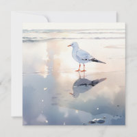 Seagull em Beach