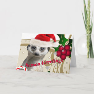 Cartão De Festividades Season Greeting Meerkat
