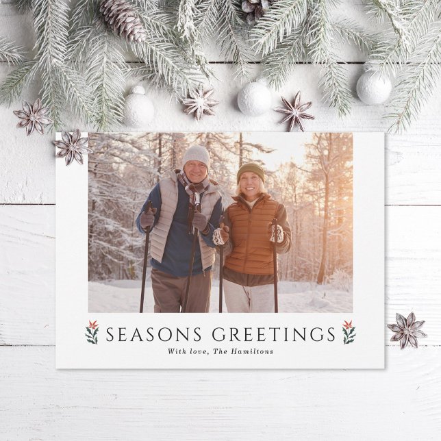 Cartão De Festividades Seasons saúda Poinsettia Paisagem Foto (Criador carregado)