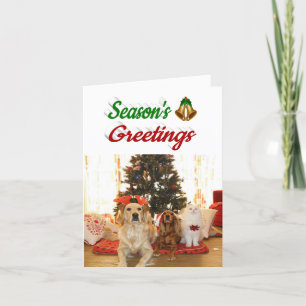 Cartão De Festividades Seasons Saudações Belgas Foto de Natal
