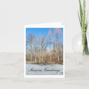 Cartão De Festividades Seasons Saudações Floresta Sunny Winter