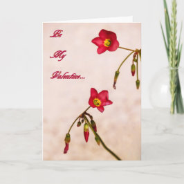 Cartão De Festividades Seja meu Namorados