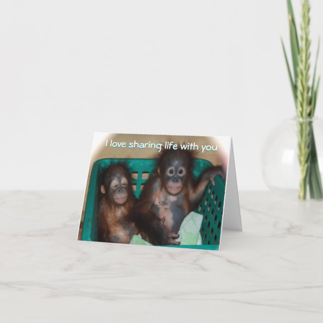 Cartão De Festividades Seja Meu Namorados, Querida Foto De Animal (Frente)