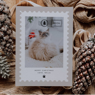 Cartão De Festividades Selo Postal Neutro Foto de Gato de Estimação Feria