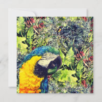 Selva e arara amarela azul