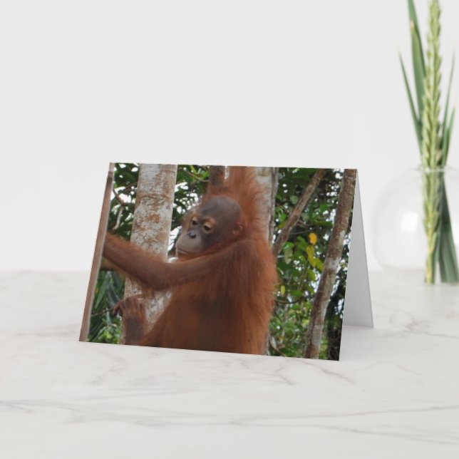 Cartão De Festividades Selvagem Para O Seu Namorados Mohawk Hairdo (Frente)