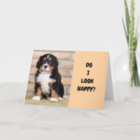 "SEM U DESDE QUE VOCÊ SE MOVEU"