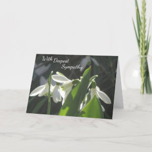 Cartão De Festividades Serene Snowdrops Cust. Text Sympathy Card