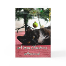 Seres humanos do Feliz Natal!