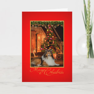 Cartão De Festividades Sheltie Christmas Card