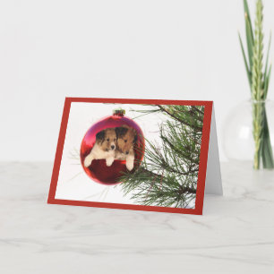Cartão De Festividades Sheltie Christmas Card Ball Hang