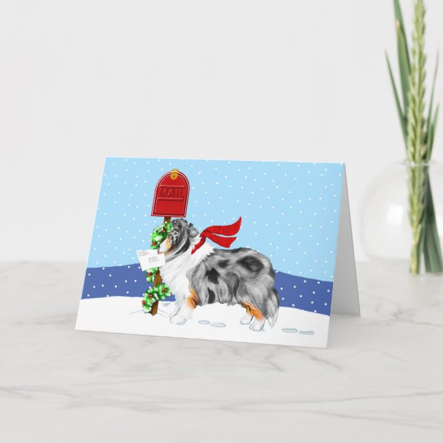 Cartão De Festividades Sheltie Christmas Mail Blue Merle (Frente)