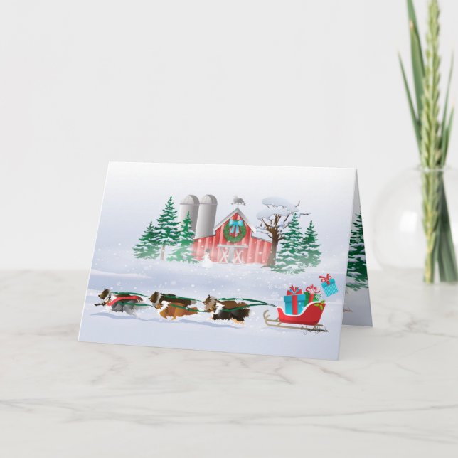 Cartão De Festividades Sheltie Dogs Brown, Black and Cinza, Pulando Sleig (Frente)