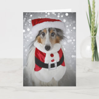 Cartão De Festividades Sheltie Papai Noel