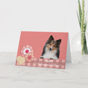 Cartão De Festividades Shetland Sheepdog cute dog Valentine's Day Card