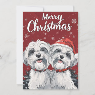 Cartão De Festividades Shi Tzu Felry Christmas