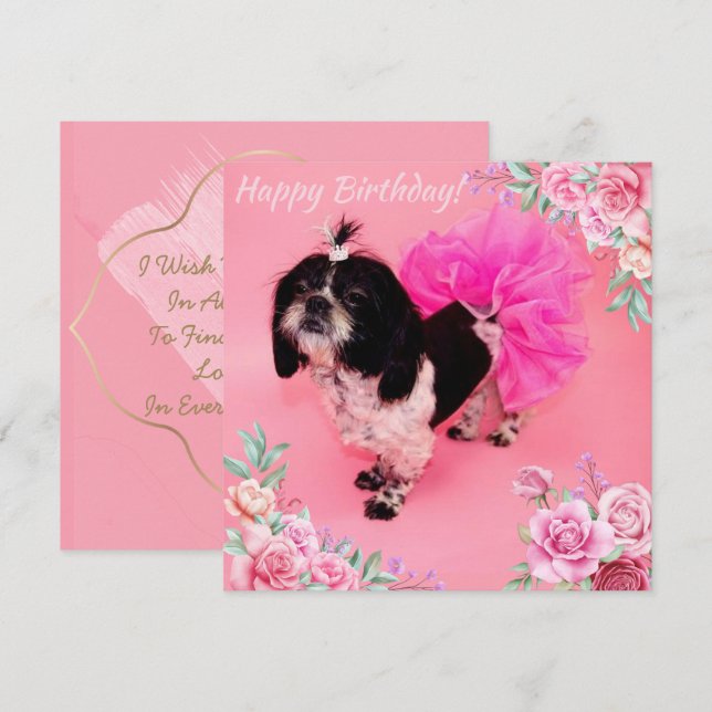 Cartão De Festividades Shih Tzu Birthday (Frente/Verso)