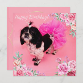 Cartão De Festividades Shih Tzu Birthday