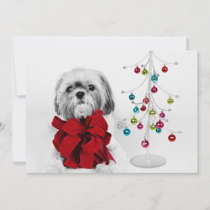 Cartão De Festividades Shih Tzu cão com arco vermelho por árvore de Natal