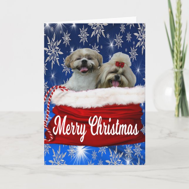 Cartão De Festividades Shih tzu Greeting Card Natal (Frente)