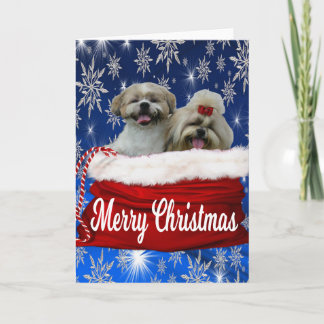 Cartão De Festividades Shih tzu Greeting Card Natal