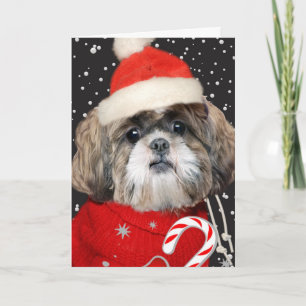 Cartão De Festividades Shih Tzu Santa Portrait