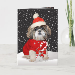Cartão De Festividades Shih Tzu Santa Season Greetings Cards